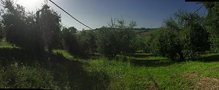 Agriturismo appartamenti San Benedetto