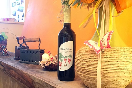 Agriturismo per i ponti Porto San Giorgio