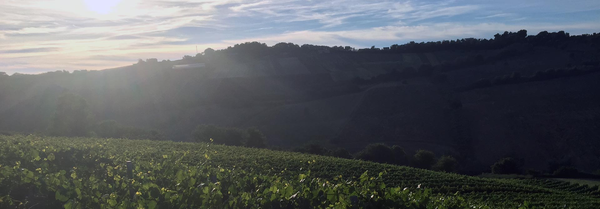 Agriturismo Marche