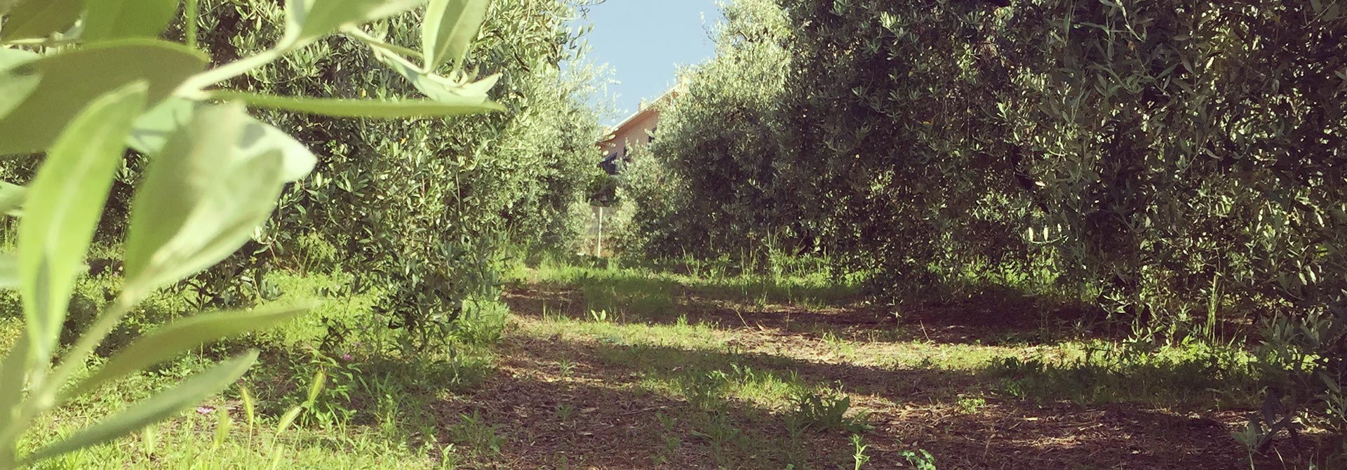 Agriturismo nel verde Grottammare